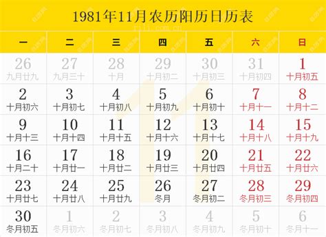 1981年11月11日